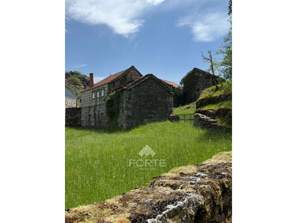 Moradia para recuperar - Turismo de habitação - Aldeia de Varziela - Grande imagem: 4/9