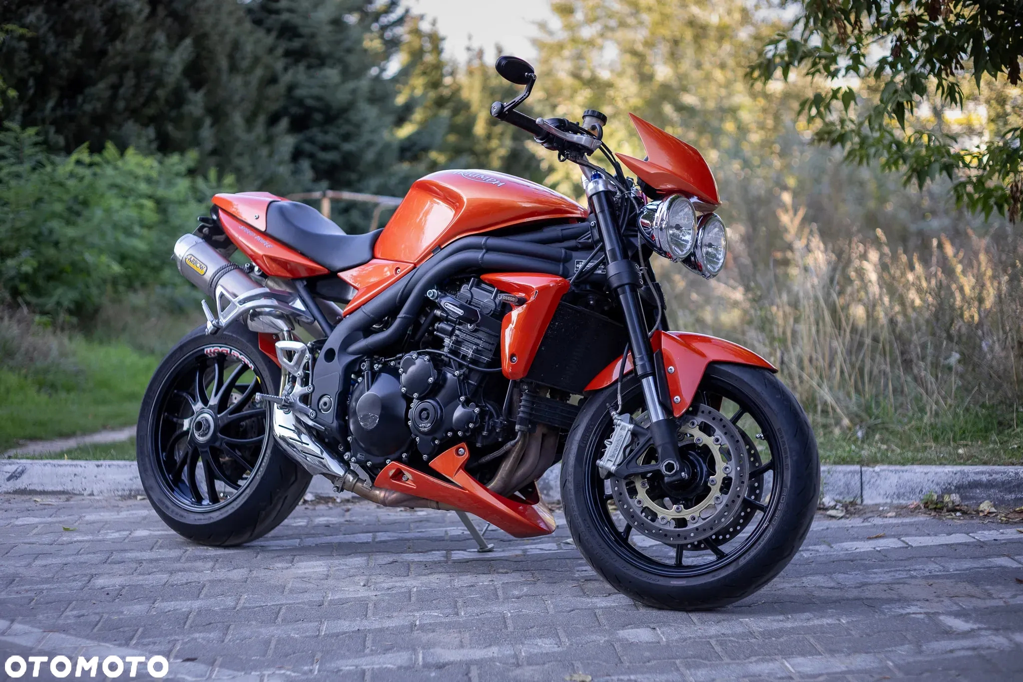 Triumph Speed Triple - 14
