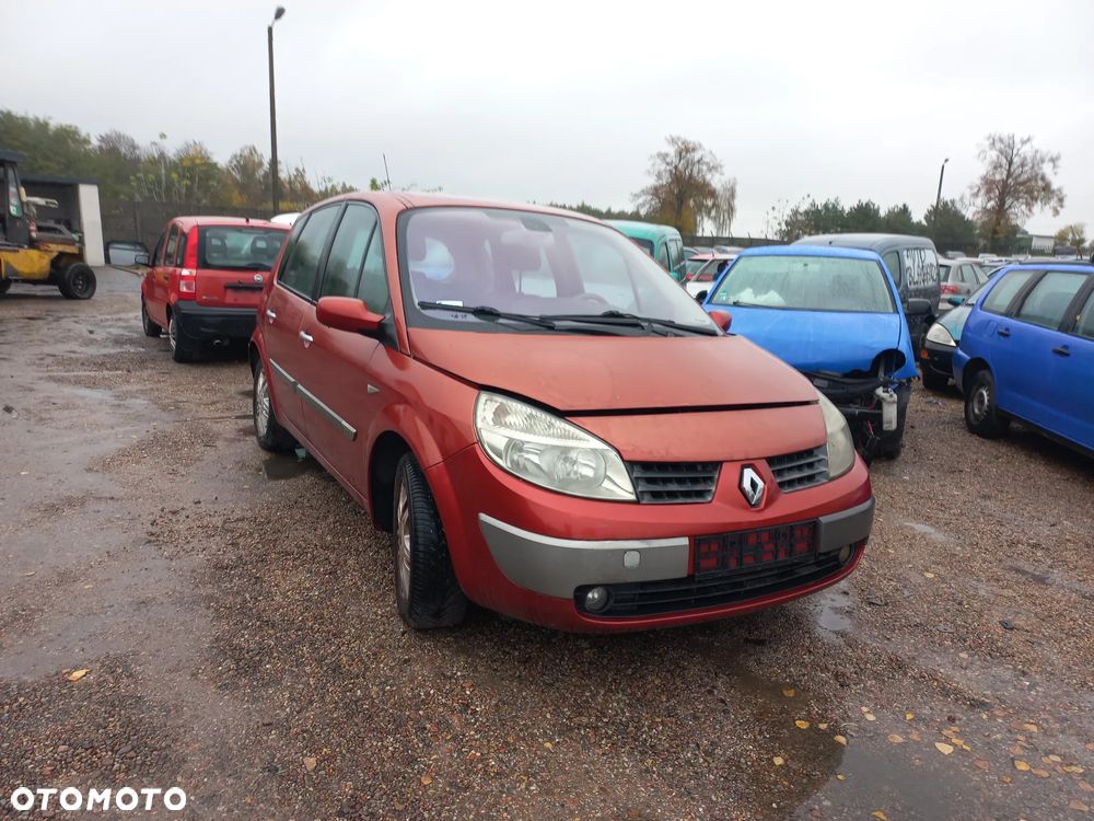 Renault Scenic II 1.9 dci 03r TEB76  wszystkie części maska zderzak drzwi