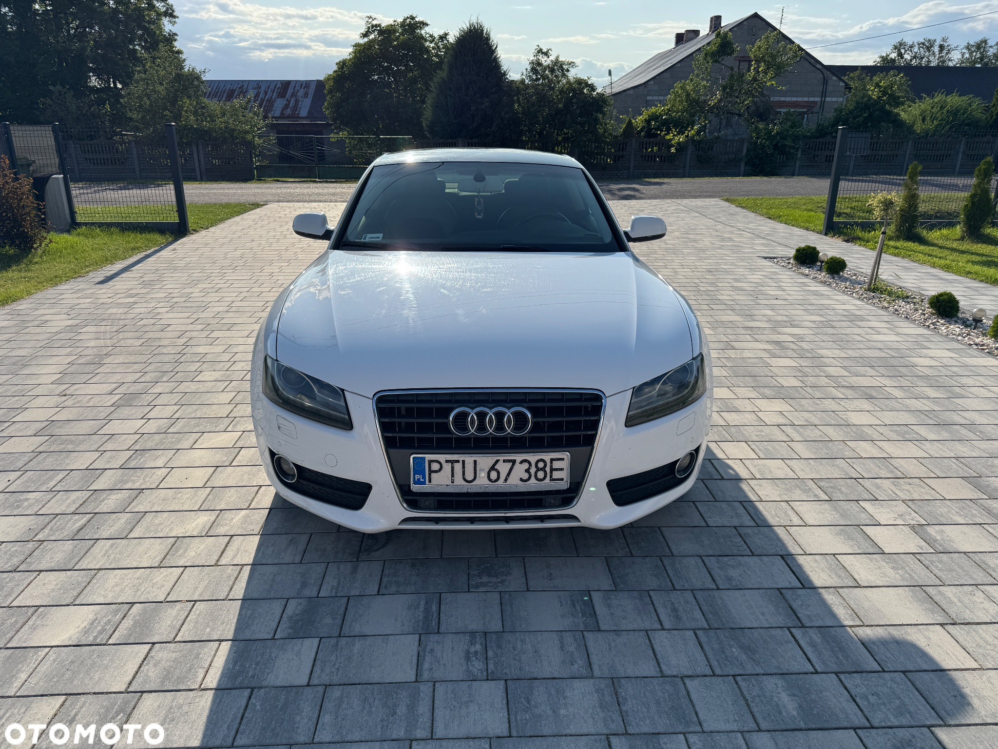 Audi A5 2.0 TDI DPF - 2
