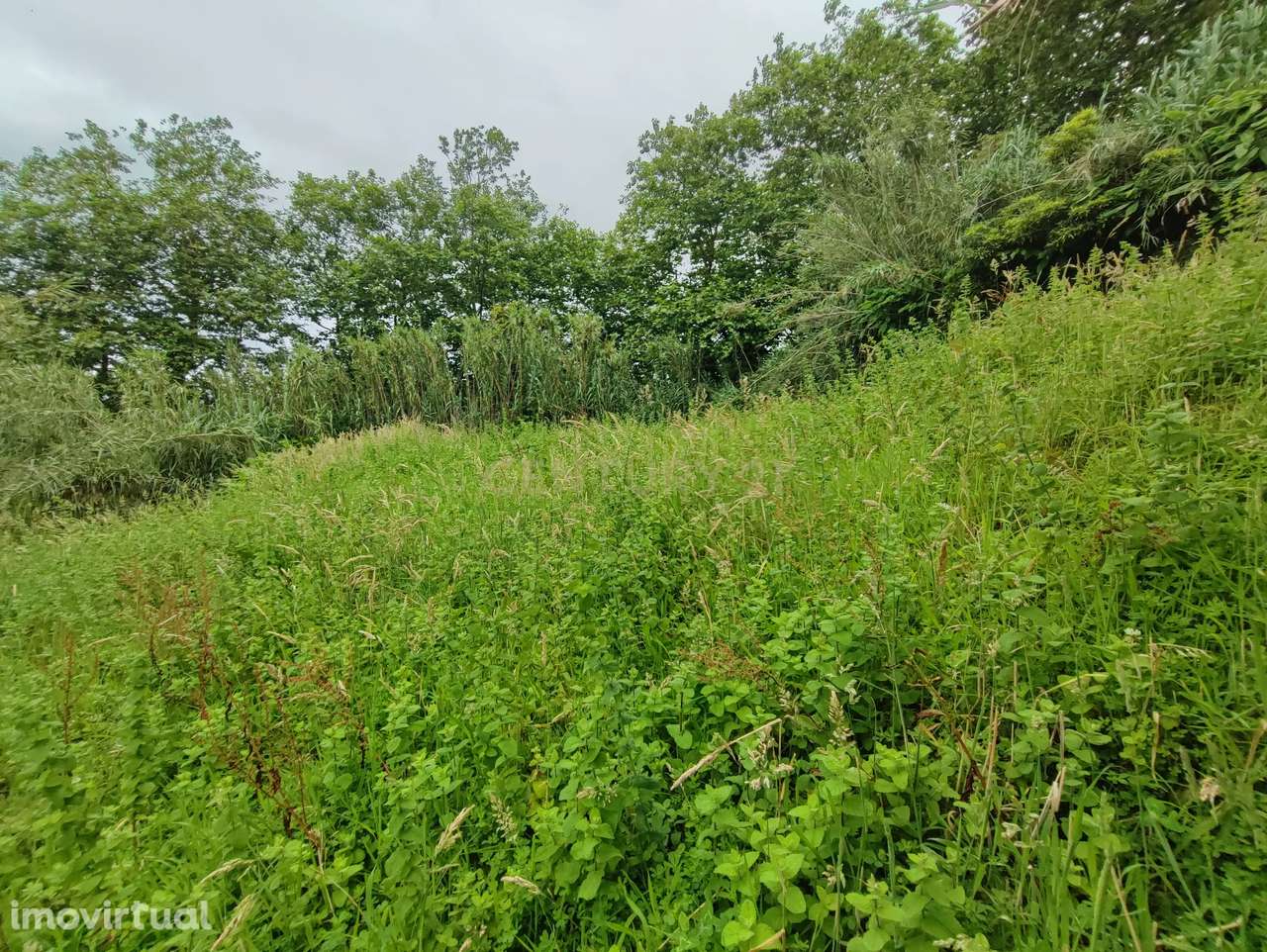 Terreno Rústico - Grande imagem: 4/12