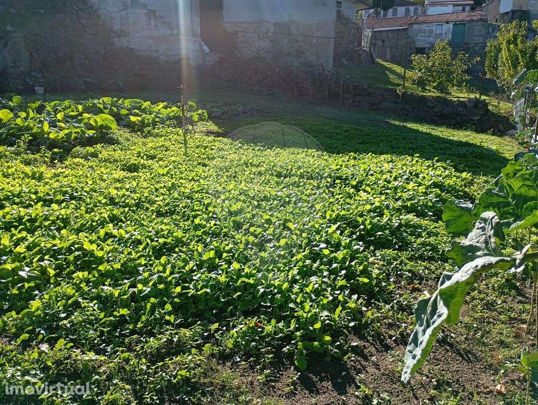 Moradia T3 para venda - Grande imagem: 5/11