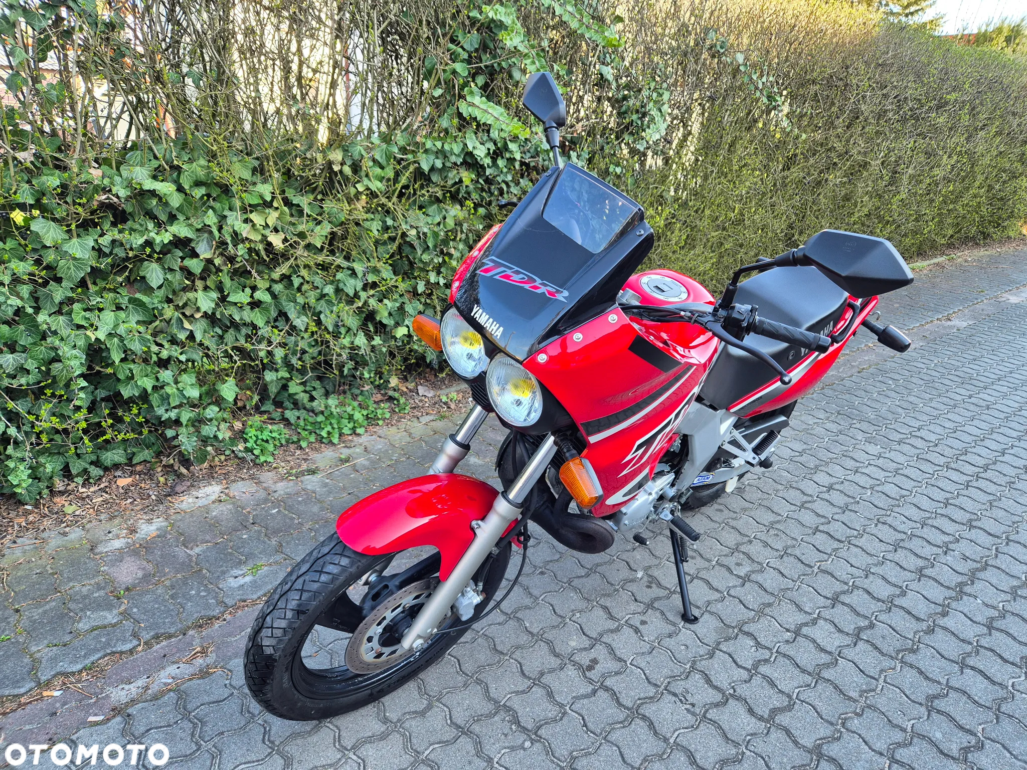 Yamaha TDR