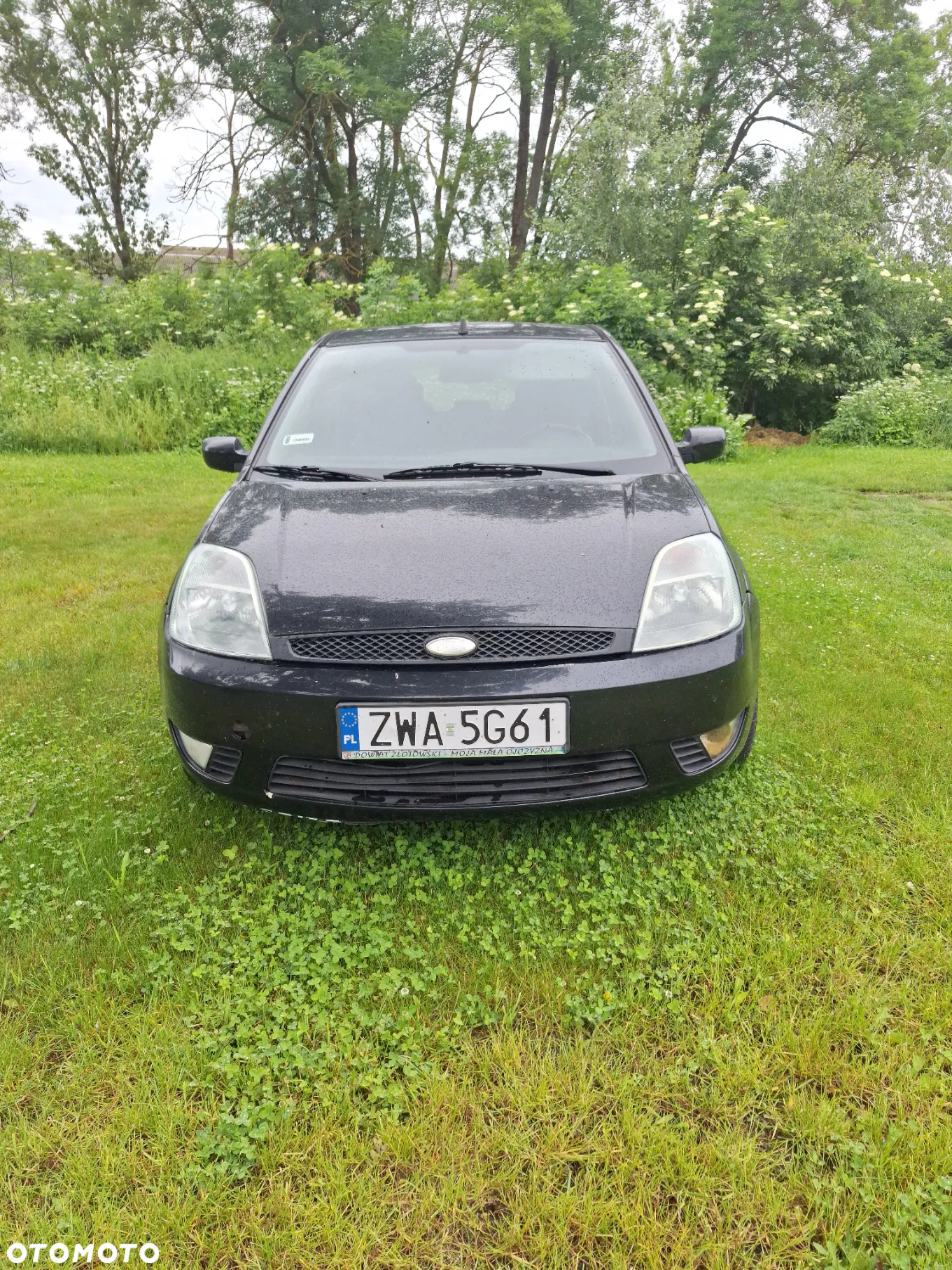 Ford Fiesta 1.4 TDCi - 5