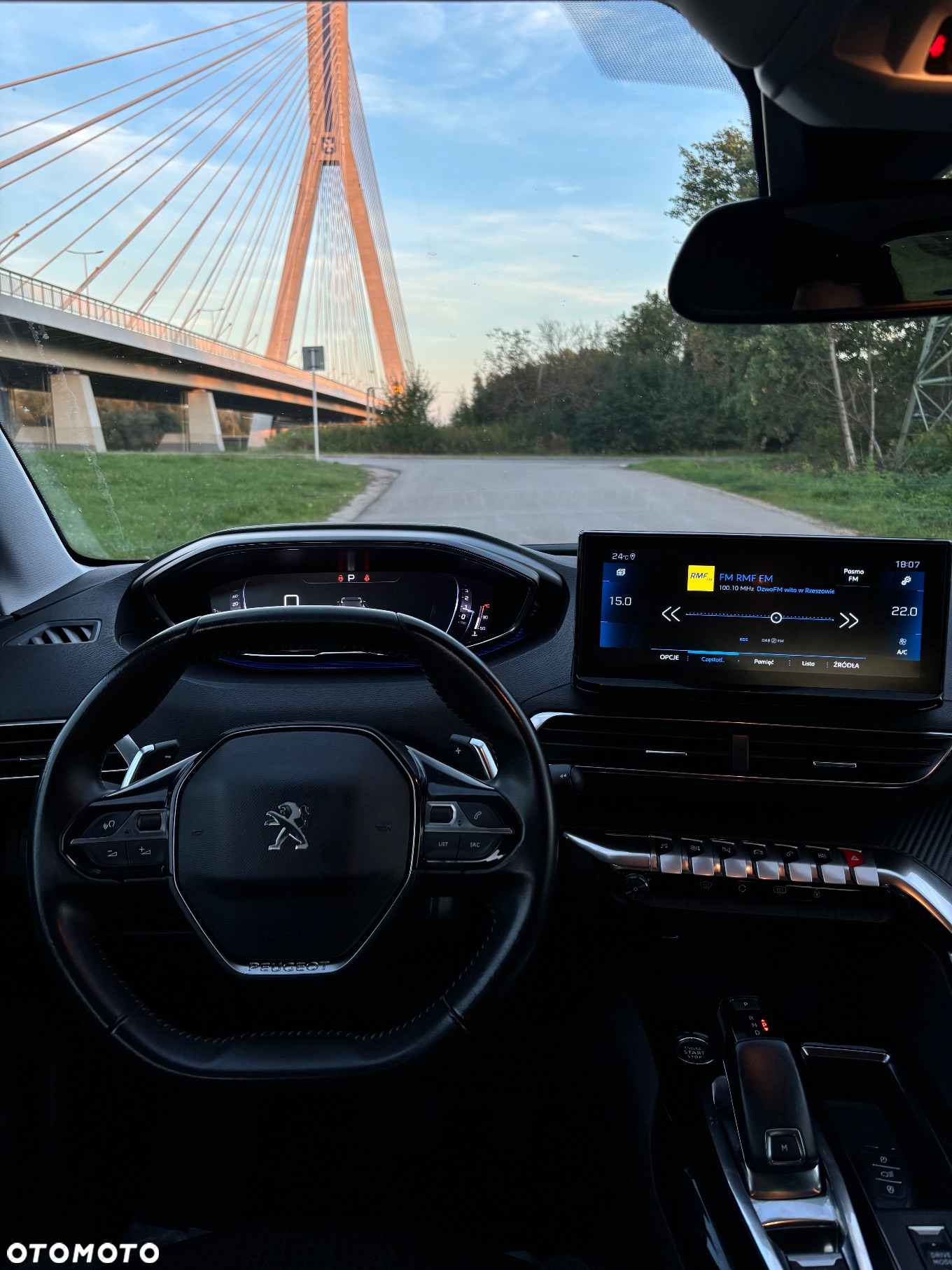 Peugeot 3008 1.5 BlueHDi Active Pack S&S EAT8 - 14