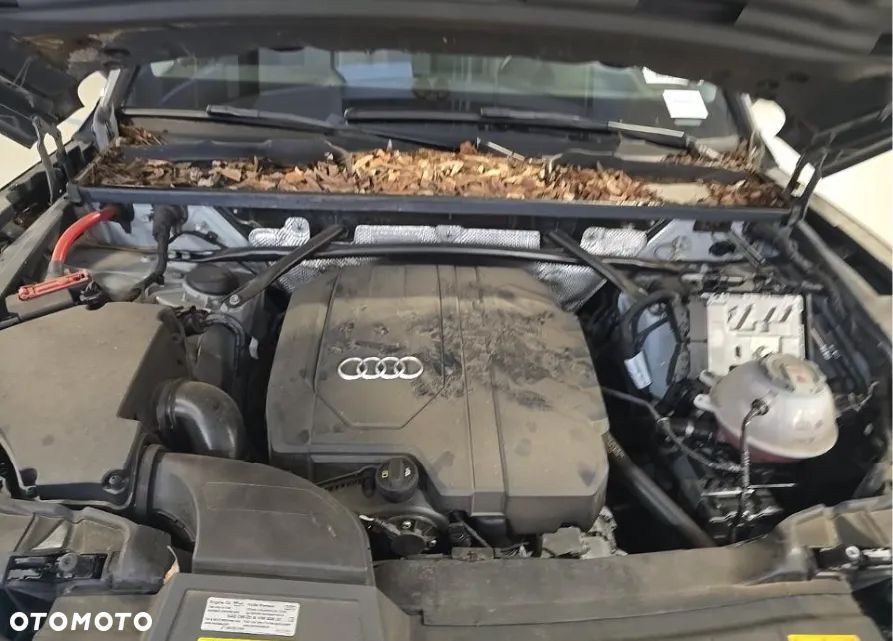 Audi Q5 45 TFSI quattro S tronic S line - 11