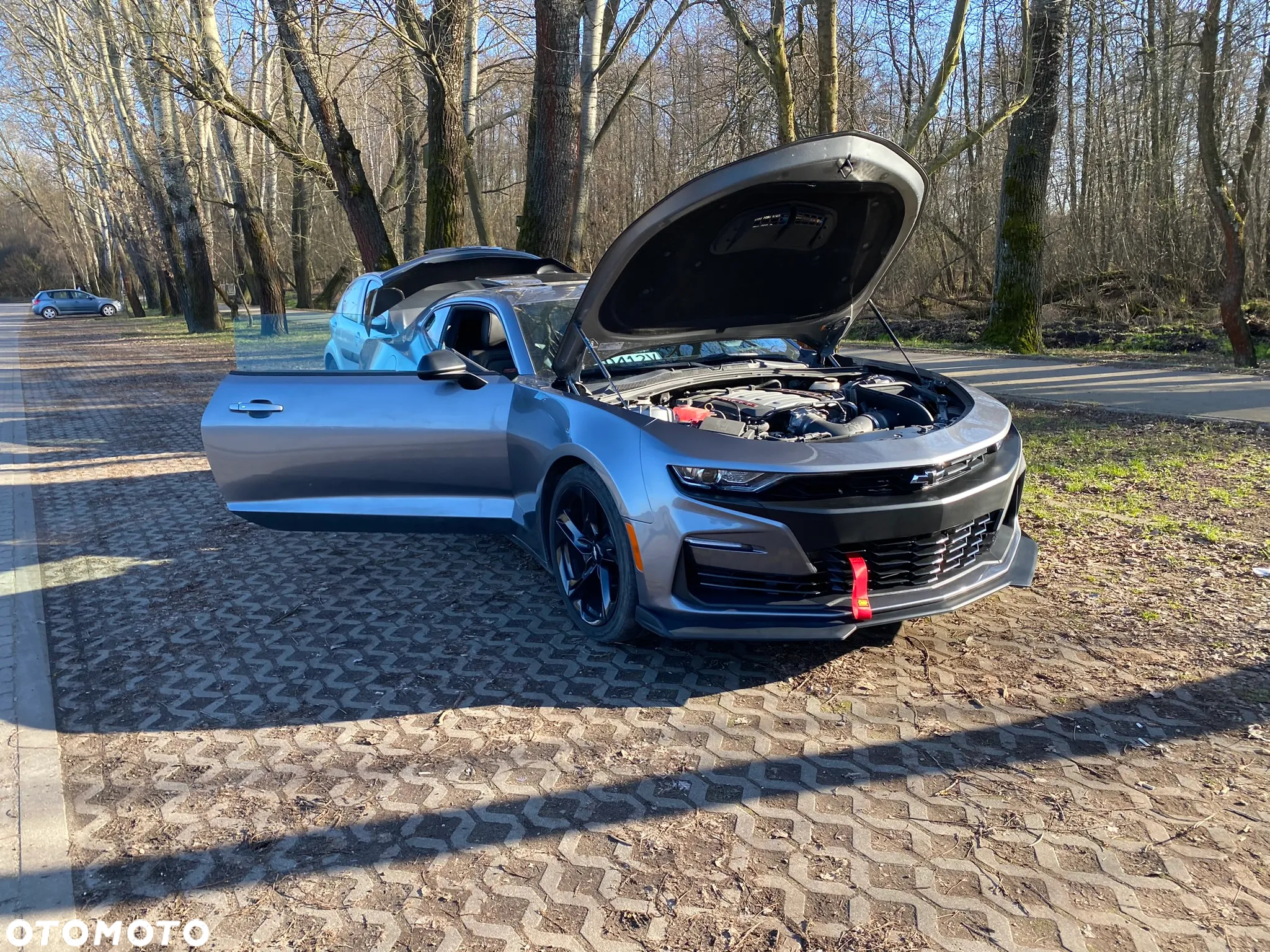 Chevrolet Camaro - 10