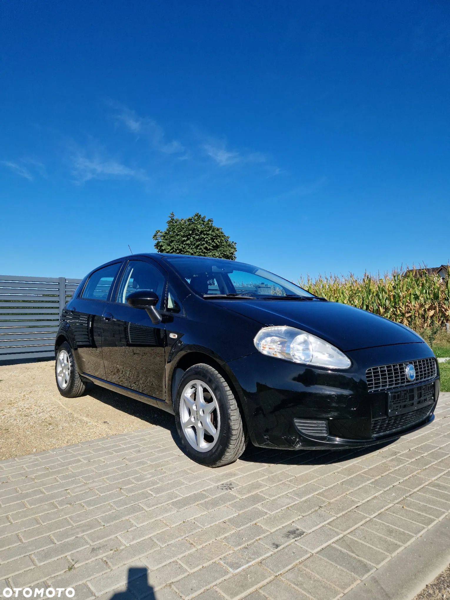 Fiat Punto - 1