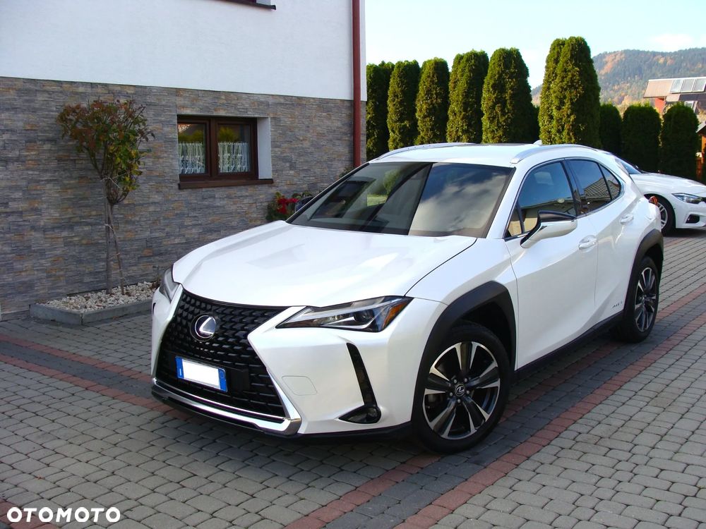 Lexus Ux 2019 photo 5