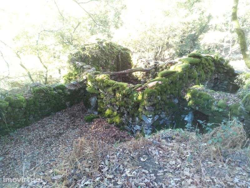 Terrenos em Adrão - Soajo - Grande imagem: 3/8