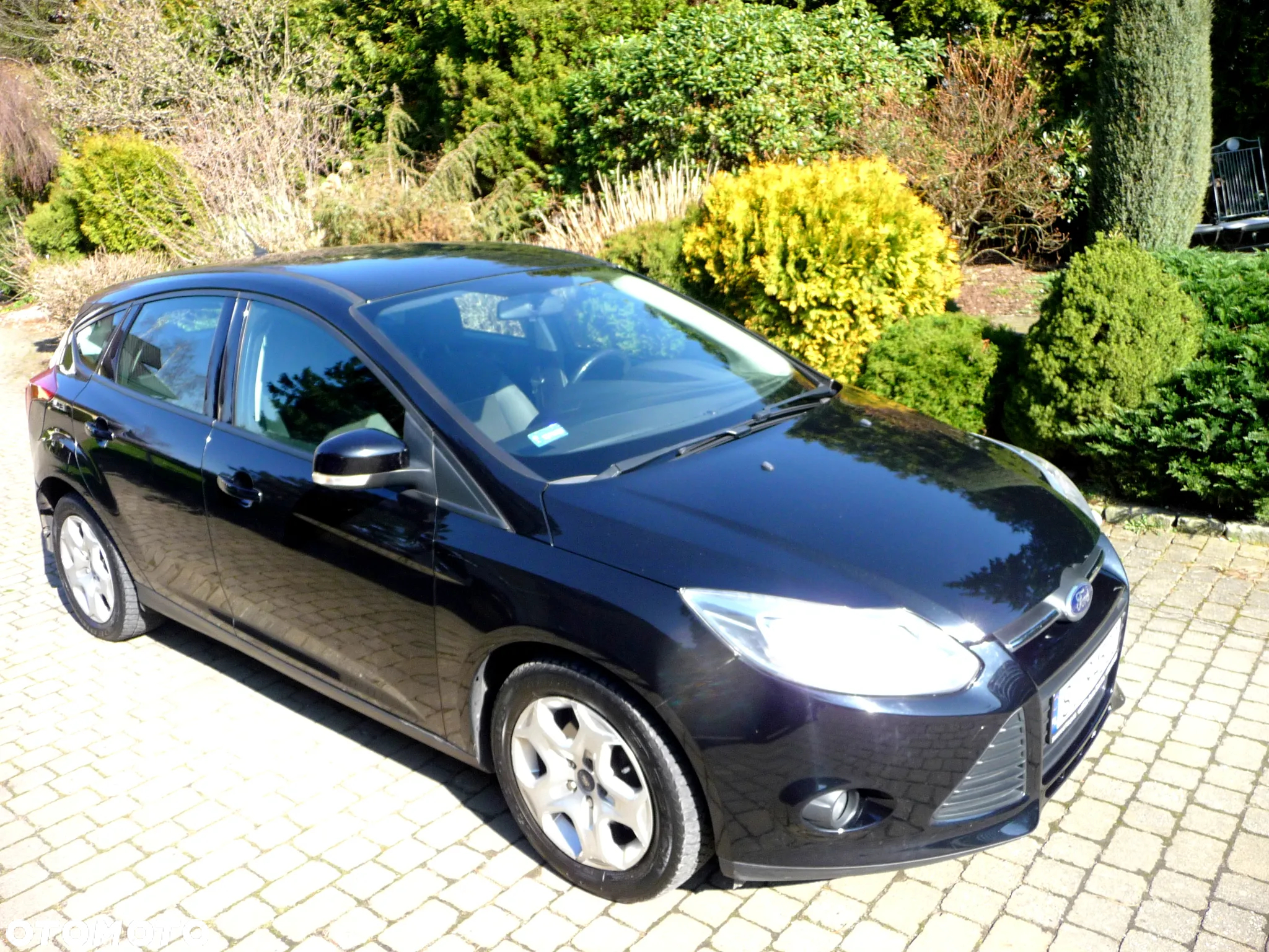 Ford Focus 1.6 TDCi Trend - 10