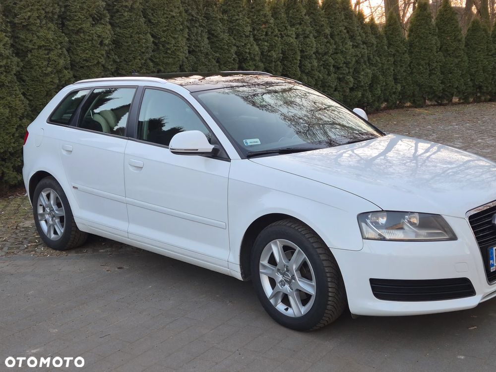 Audi A3 Sportback 1.6 Limited Edition - 2