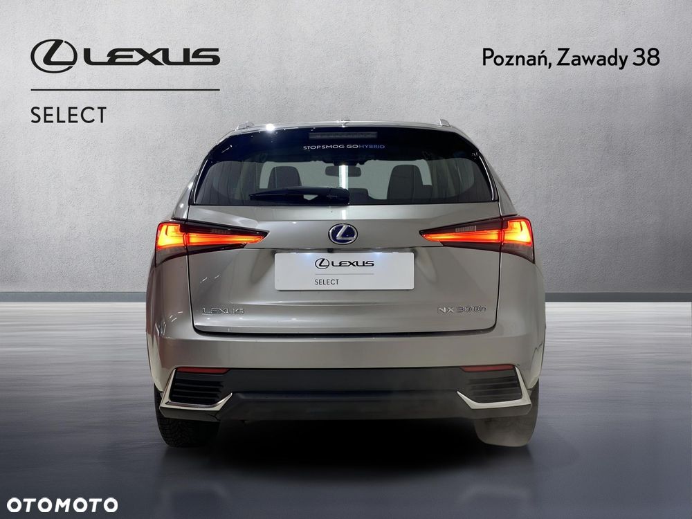 Lexus NX 300h Business Edition AWD - 7