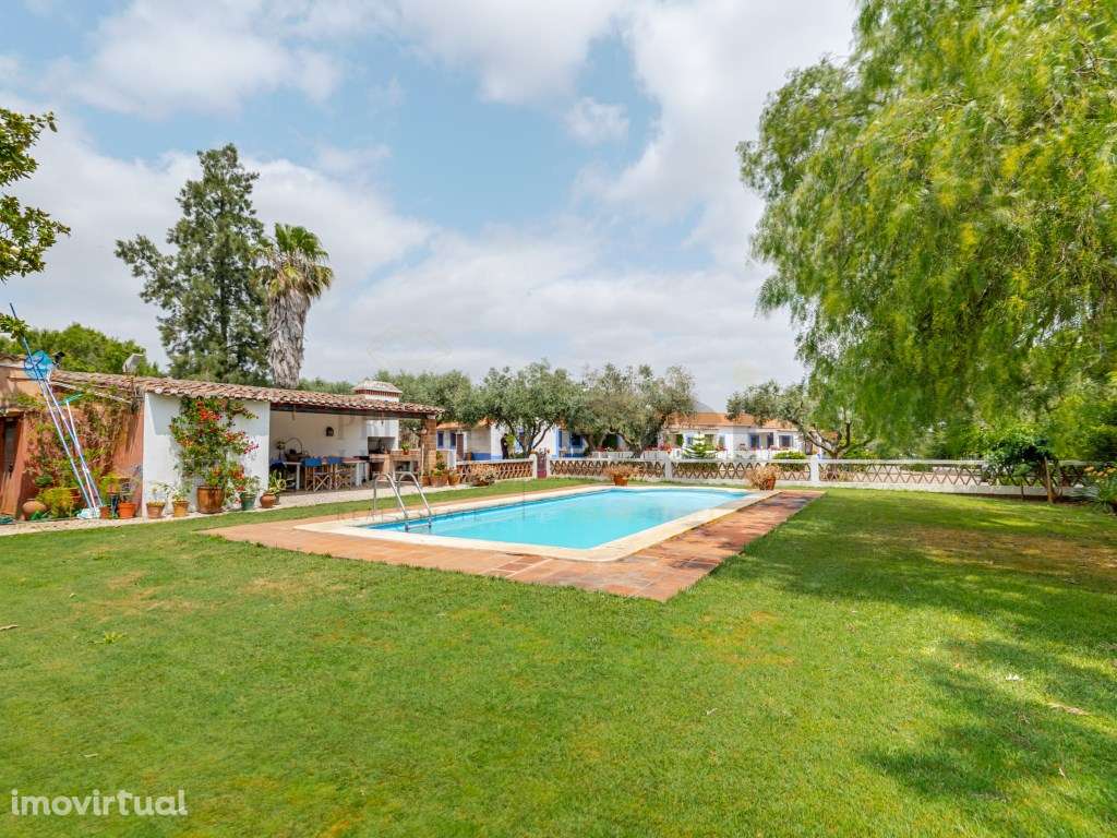 Quinta no Alentejo, Beja, com uma habitação T4 e Piscina - Grande imagem: 4/49