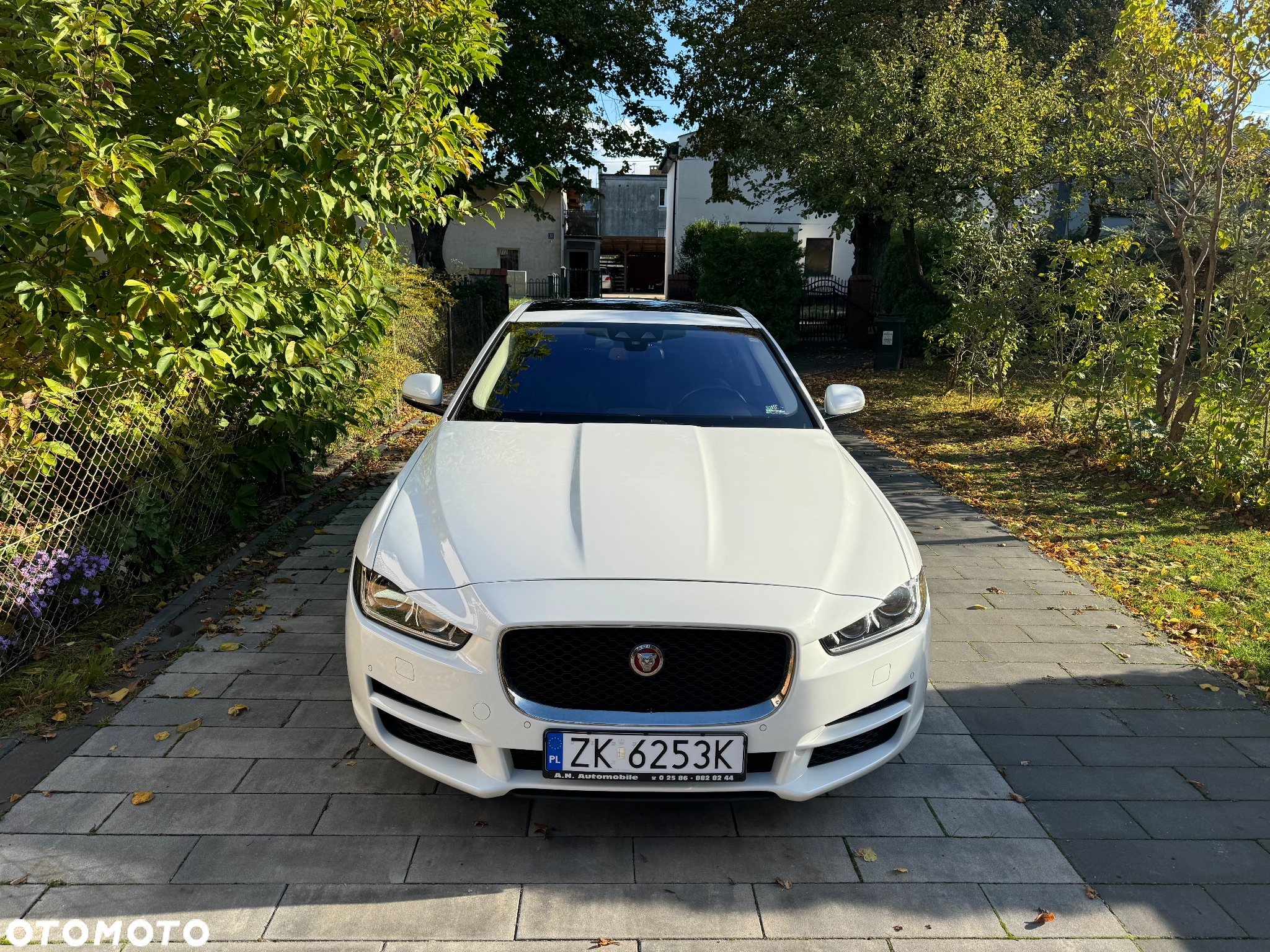 Jaguar XE S - 6