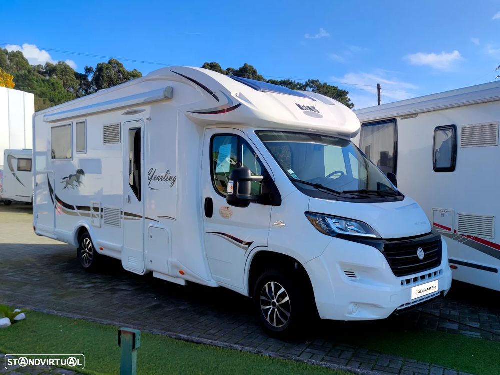 McLouis Yearling 79g - Edição Limitada