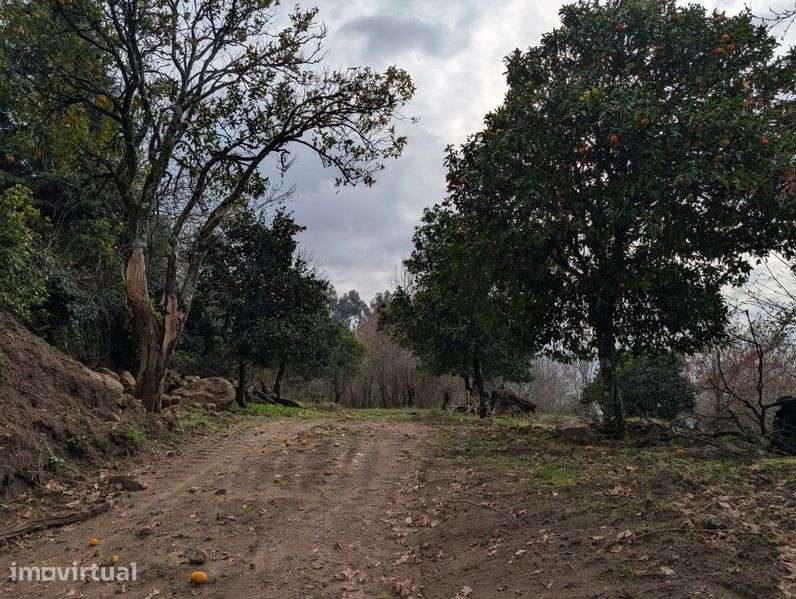 Terreno em Sande - Grande imagem: 2/8