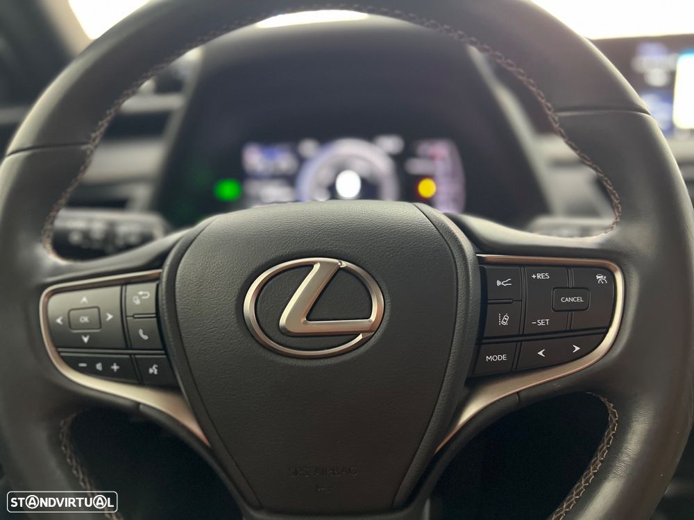 Lexus UX 250h Special Edition (LCA) - 21
