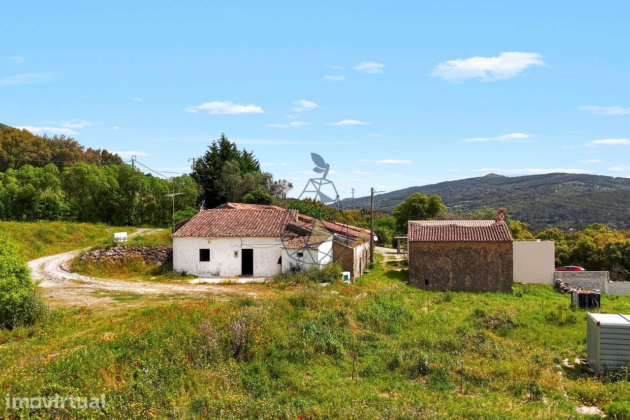 Quinta com casa antiga com vista mar em Monchique - Grande imagem: 4/31