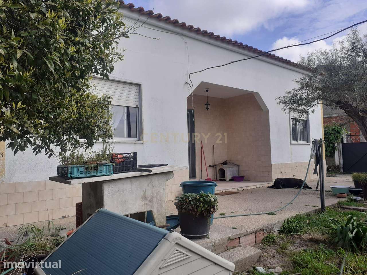 Exclusivo | Terreno com Benfeitorias em Santo Isidro de Pegões - Grande imagem: 2/14