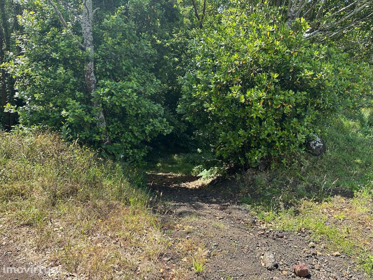 Terreno Rústico Urbanizável em Rosto de Cão, Livramento - Grande imagem: 5/14