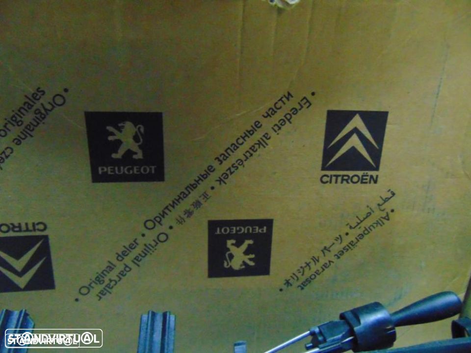 Peugeot espelhos - 3