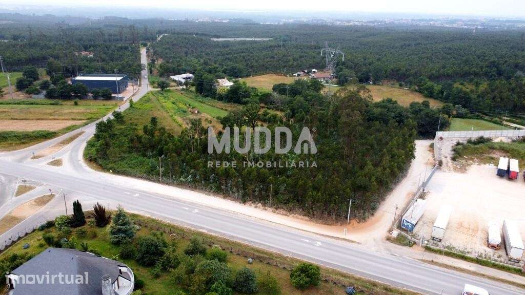 TERRENO RÚSTICO COM MAIS DE 8.700m2 - Grande imagem: 4/6