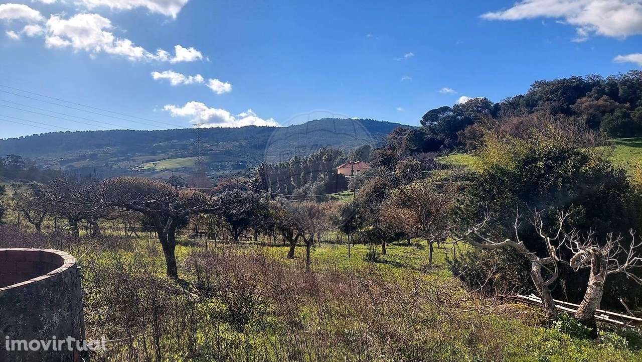 Quinta  para venda - Grande imagem: 5/43