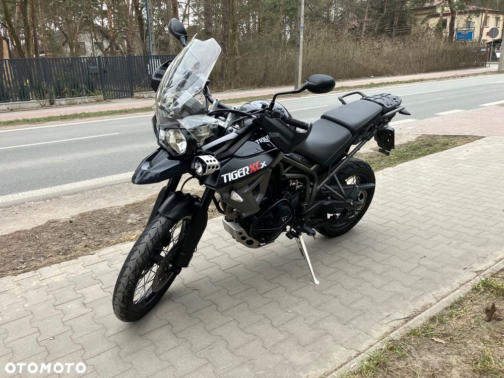 Triumph Tiger - 2