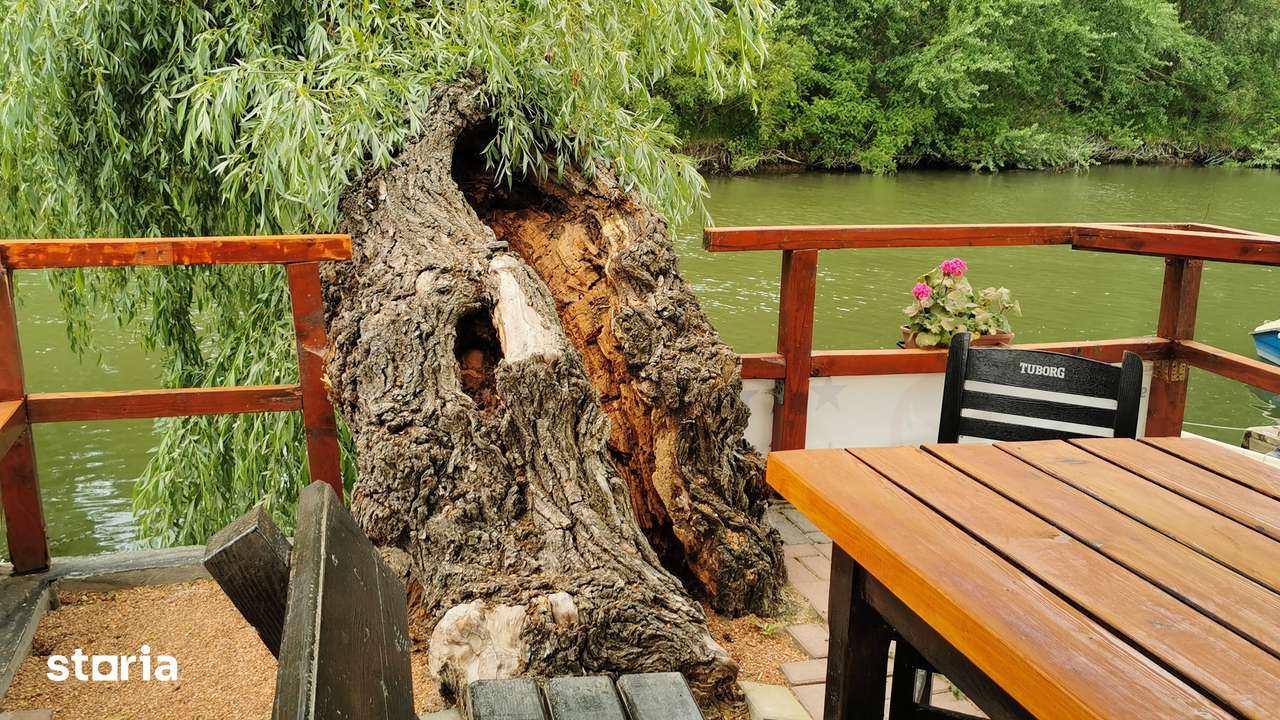 Pensiunea,Afacere la cheie in Delta Dunării, Uzlina - Imagine principală: 3/14