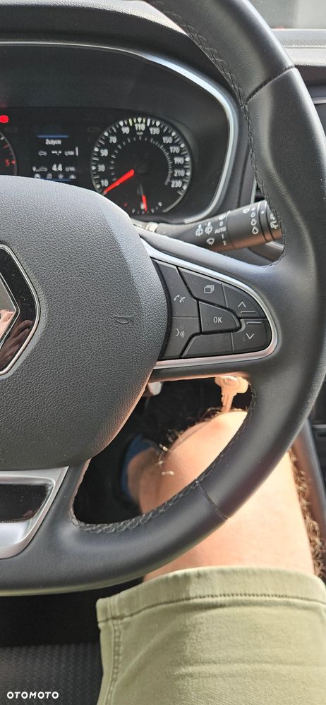Renault Megane - 31