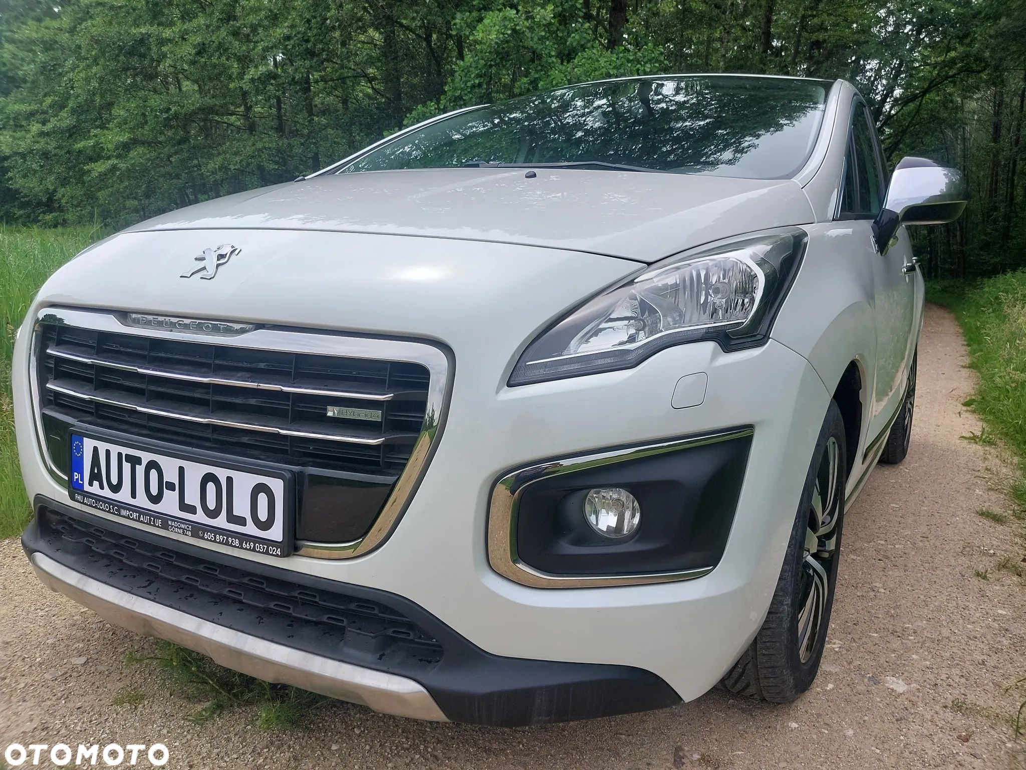 Peugeot 3008 - 1