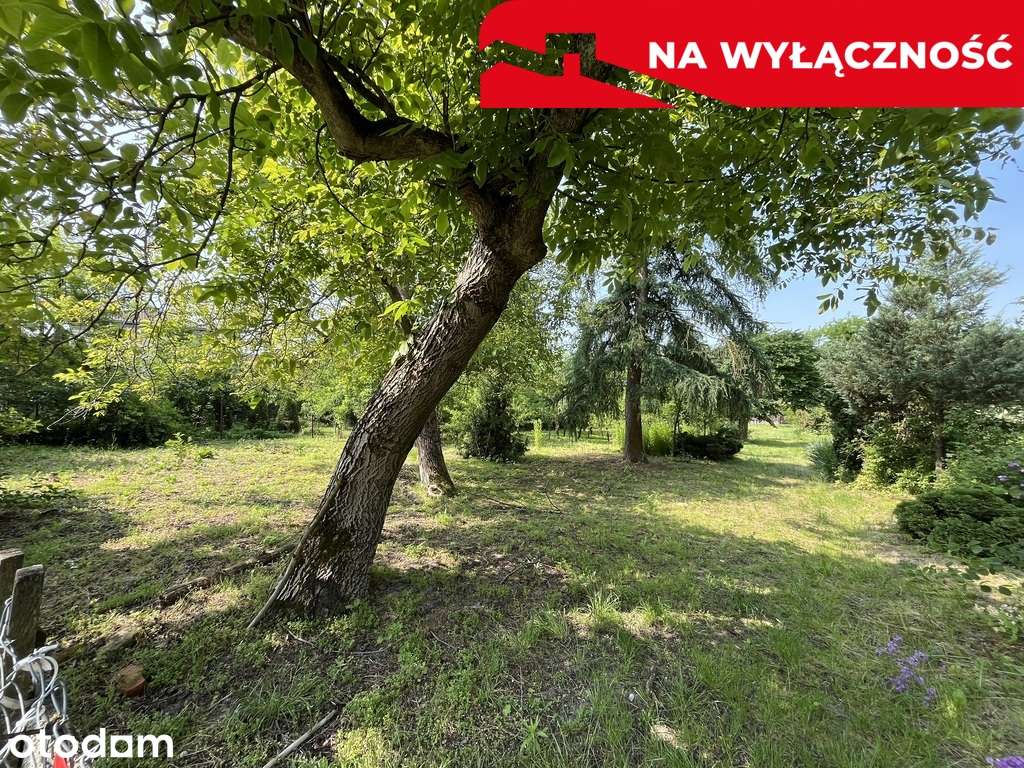 Siedlisko w Kaliszanach Kolonii gm. Józefów - Pełny obrazek: 5/20