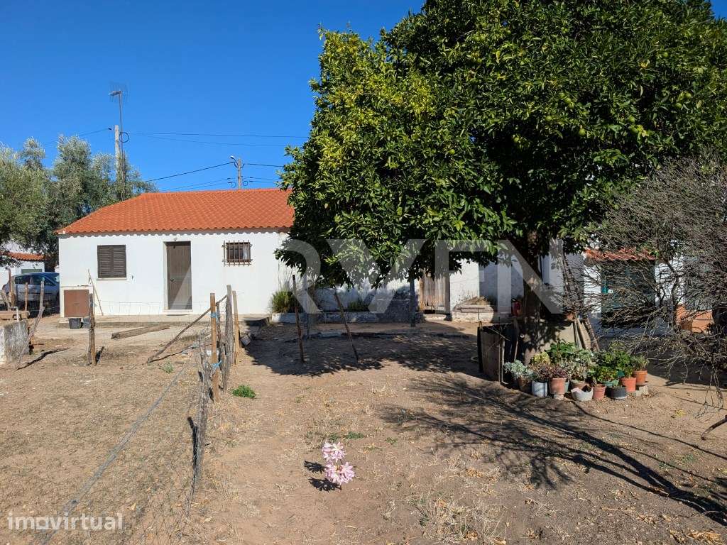 Moradia térrea com potencial no centro do Pego Abrantes - Grande imagem: 5/13