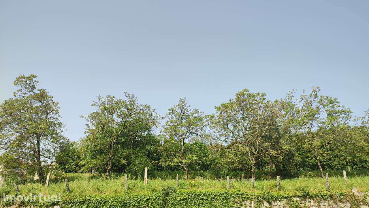 Terreno em Caires, Amares. - Grande imagem: 4/26