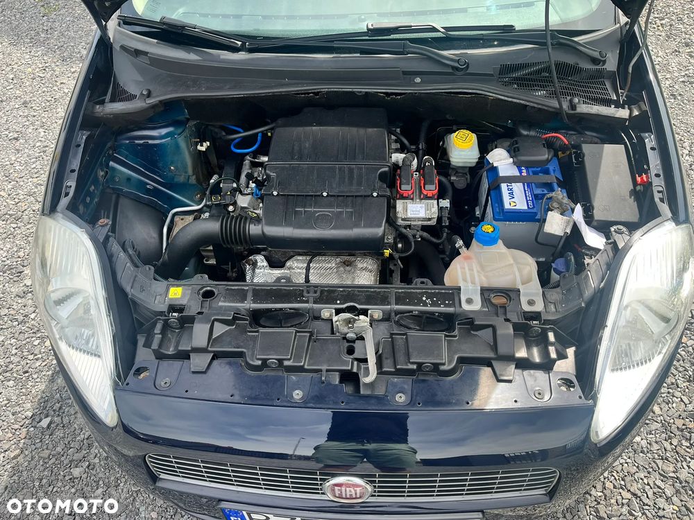 Fiat Punto 1.2 8V - 19