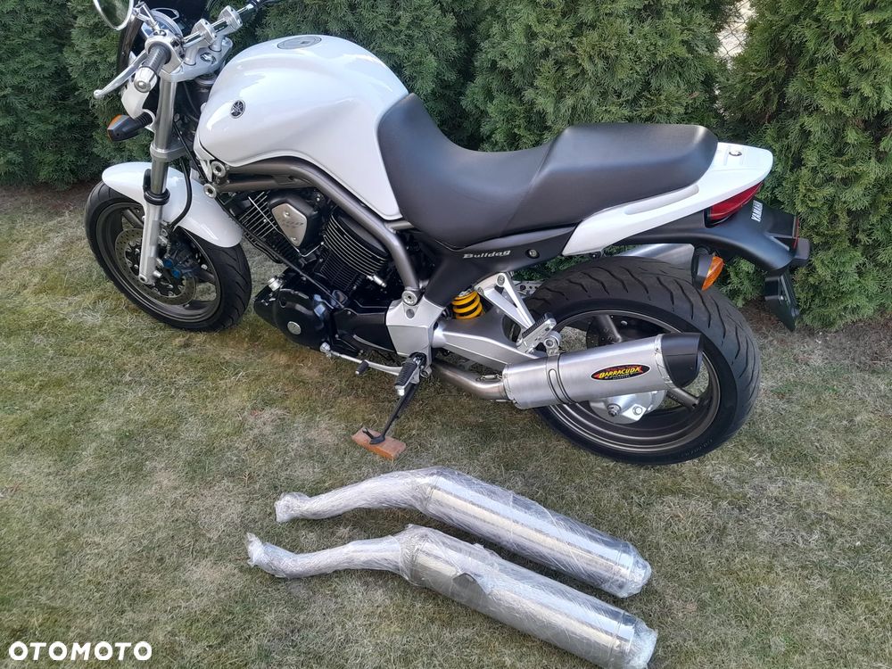 Yamaha Bulldog - 24
