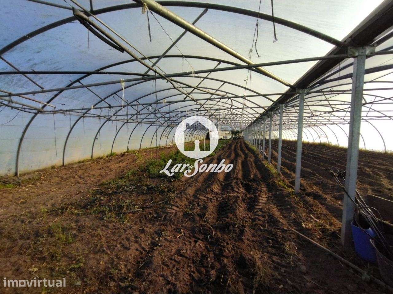 Terreno agrícola com 1.900m2, na Póvoa de Varzim - Grande imagem: 2/5