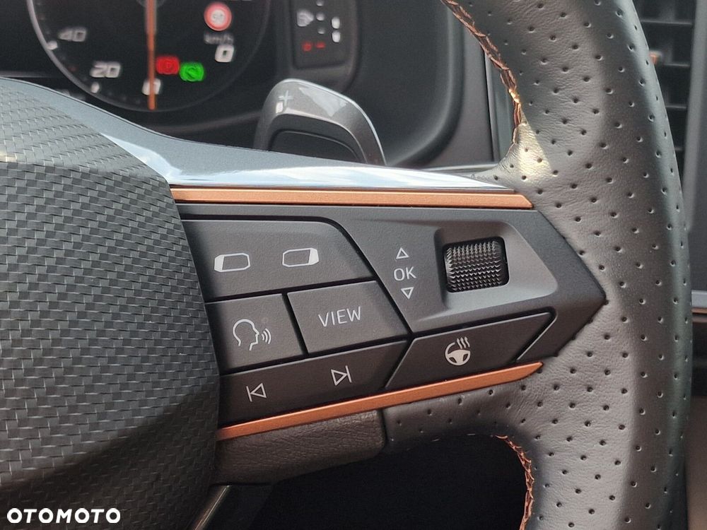 Cupra Ateca 1.5 TSI DSG - 25