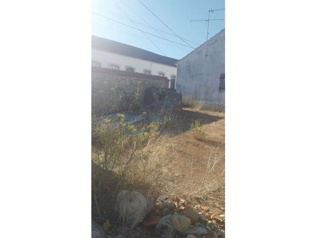 Terreno Venda Torres Novas - Grande imagem: 3/8