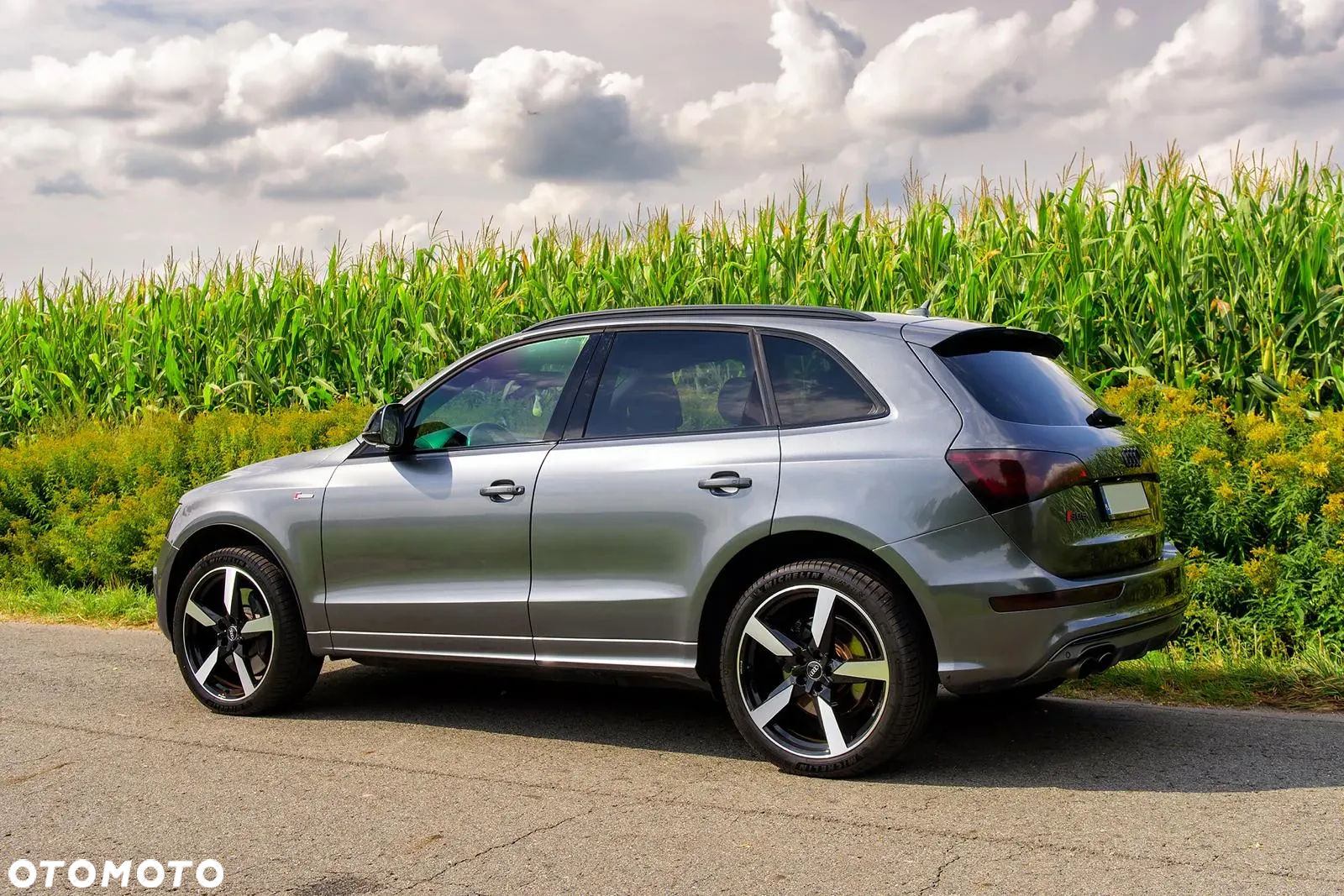 Audi SQ5 3.0 TFSI Quattro Tiptronic - 4
