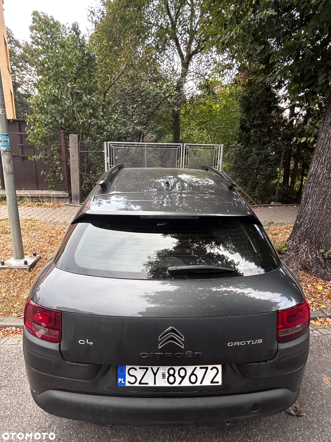 Citroën C4 Cactus 1.6 e-HDi Live ETG - 2