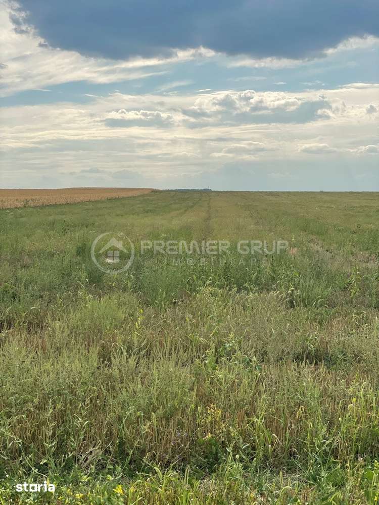 Teren extravilan 7.200mp, Bogdanesti-Horlesti, deschidere la 2 drumuri - Imagine principală: 4/6