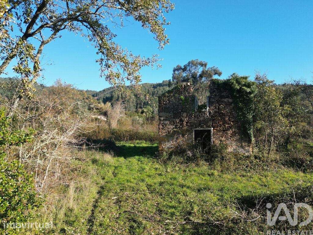 Terreno para construção em São Miguel, Santa Eufémia e Rabaçal de 7007 - Grande imagem: 3/15