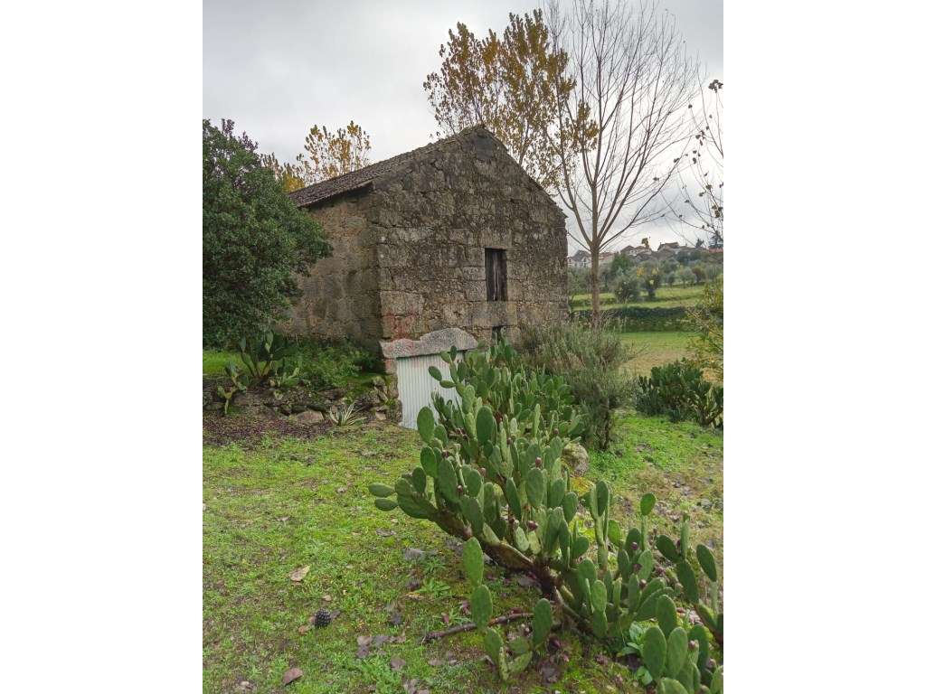 Quinta na Serra da Estrela com Duas Casas em Pedra, Nascentes e um ... - Grande imagem: 2/33