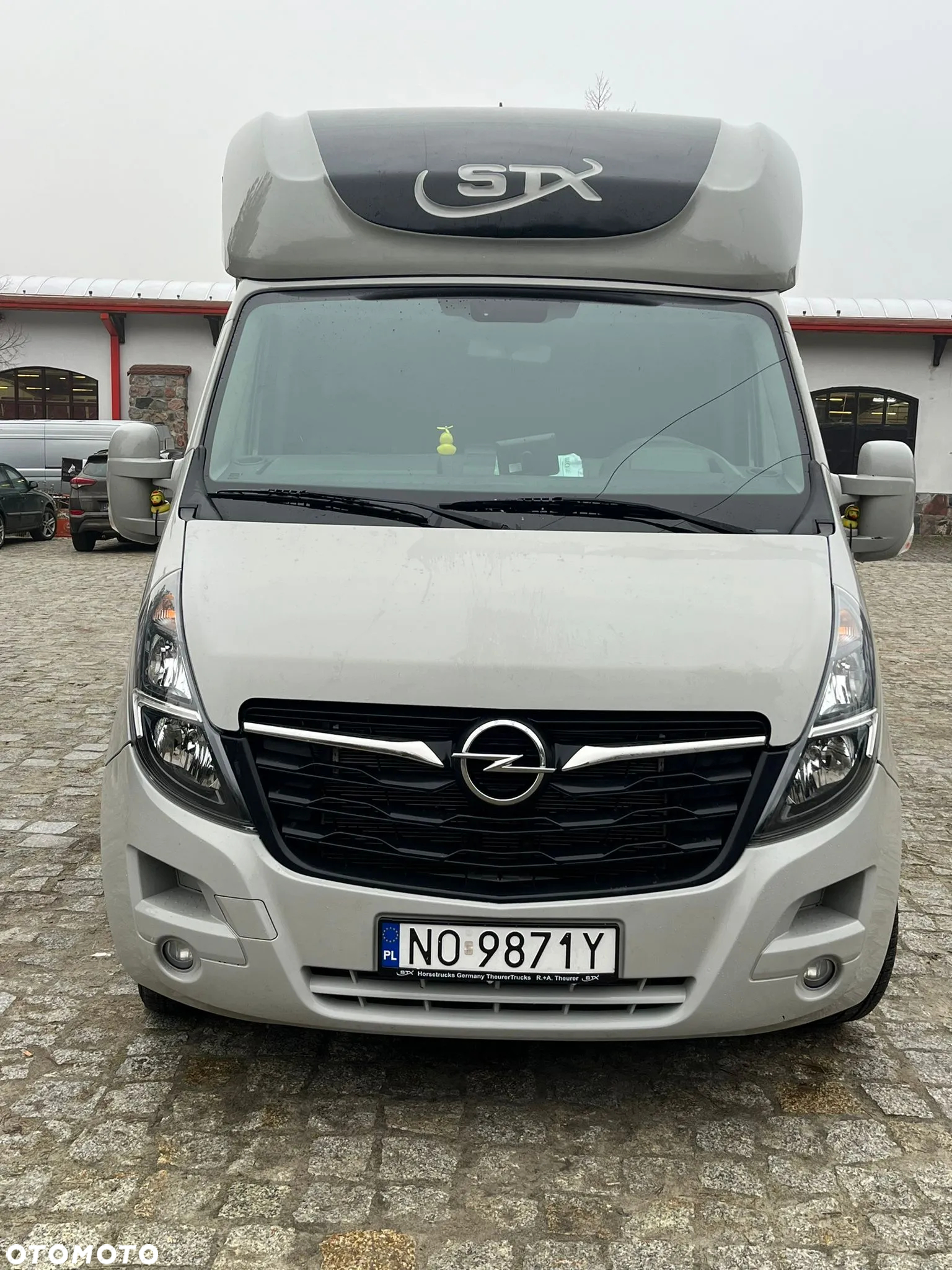 Opel MOVANO HORSEBOX - 5
