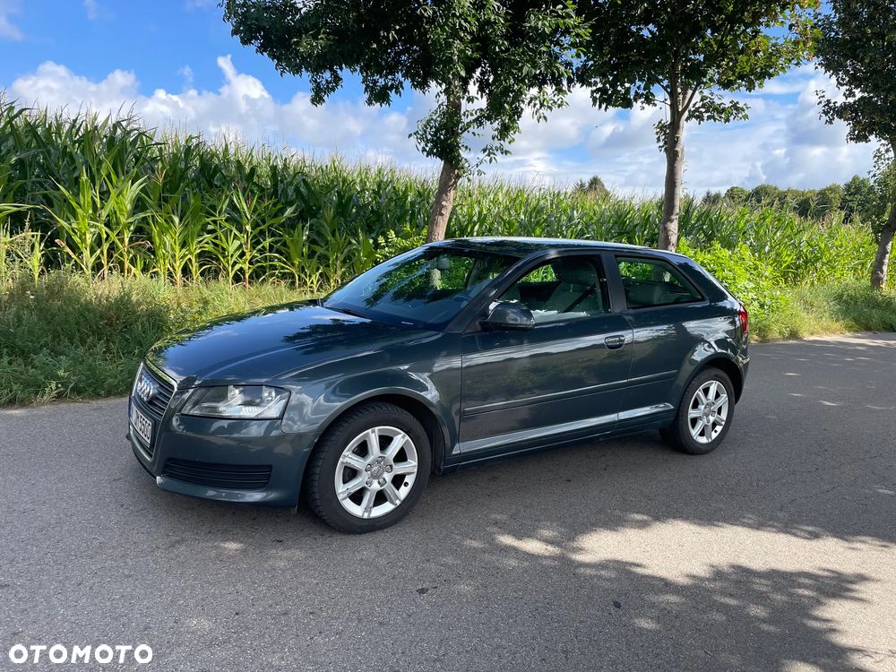Audi A3 3-drzwiowe 1.6 Ambition - 2