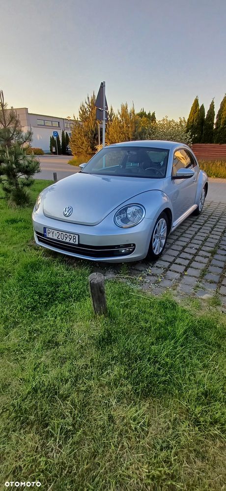 Volkswagen Beetle - 12