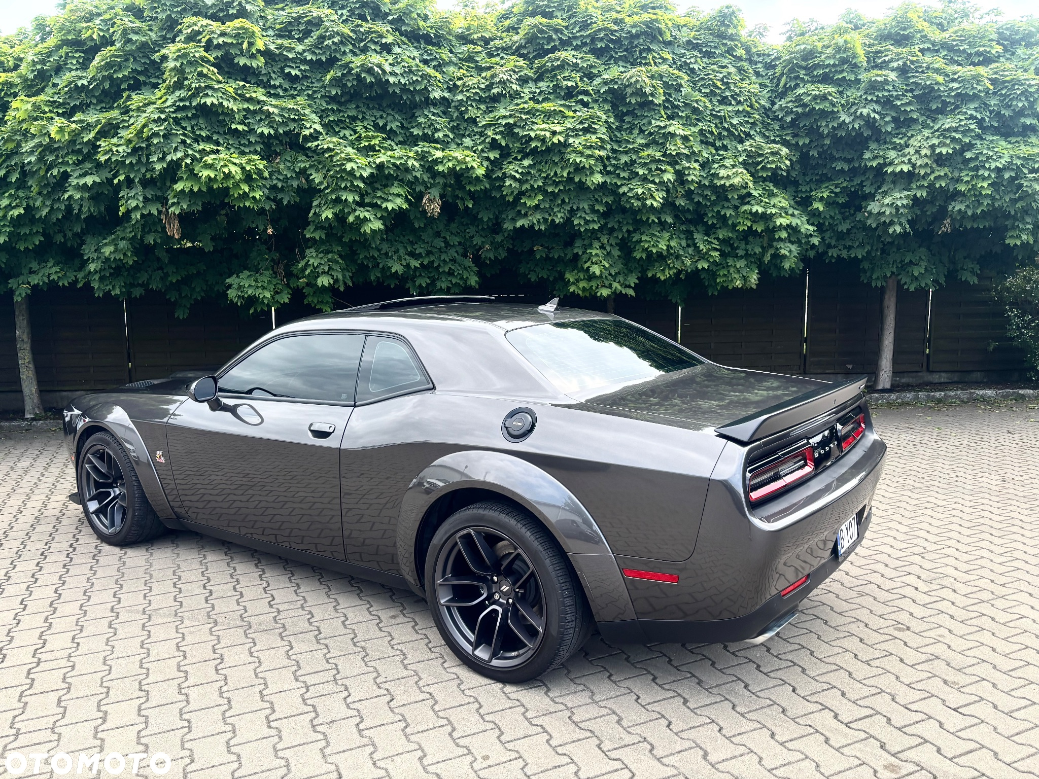 Dodge Challenger 6.4 Scat PackWidebody - 10