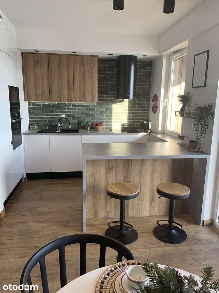 Apartament  z pięknym widokiem na Wisłę- pierwsza linia brzegowa